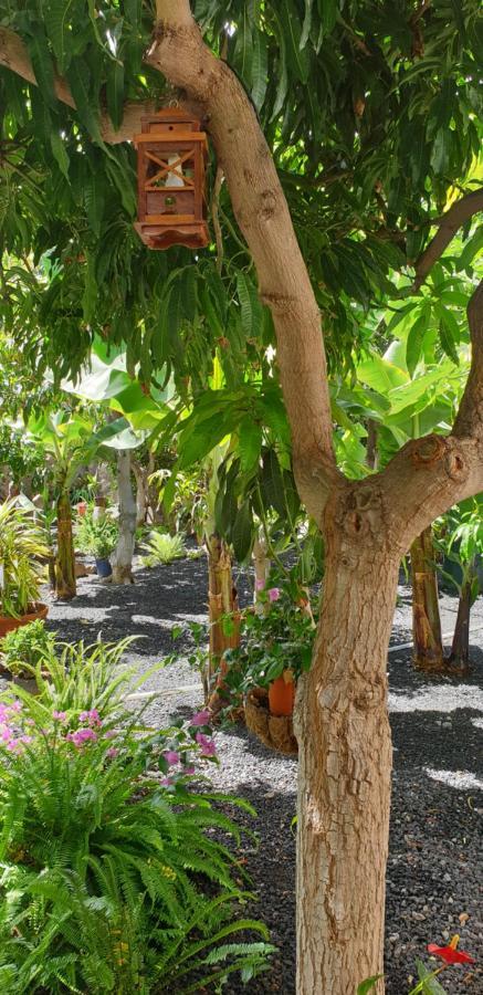 Finca Borbolan Y La Roseta 巴耶格兰雷伊 外观 照片